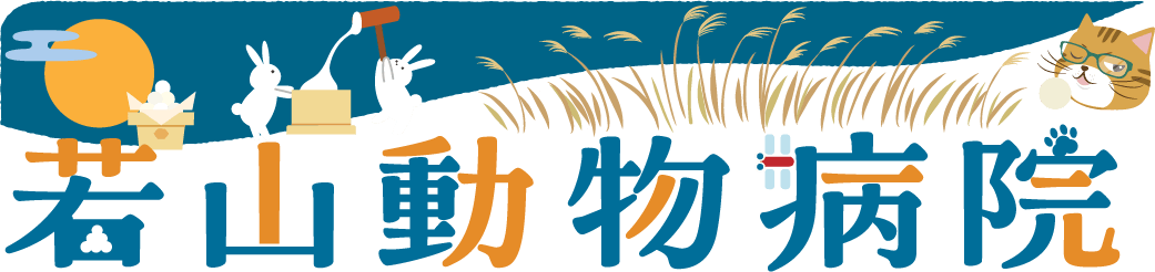 佐倉市の動物病院なら若山動物病院｜セカンドオピニオン対応