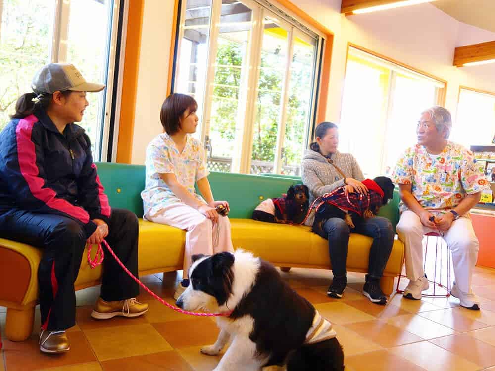 佐倉市の動物病院なら若山動物病院｜千葉県佐倉市にある犬猫が病気にならない「未病」の領域に特化した動物病院