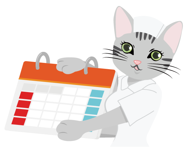 カレンダーを抱えるネコのイラスト