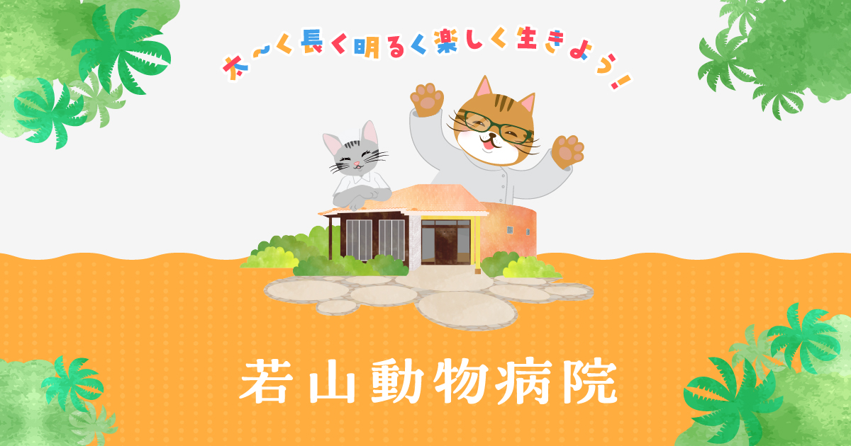 佐倉市の若山動物病院です！犬猫の免疫力UPに商品・ペットIgGをご紹介します♪