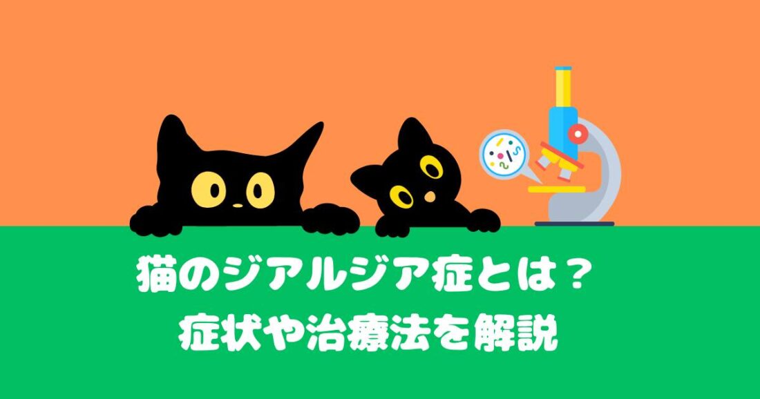 【ジアルジア症】猫のジアルジア症とは?症状や治療法を解説