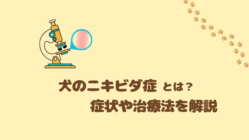 【ニキビダニ症】犬のニキビダニ症とは?症状や治療法を解説