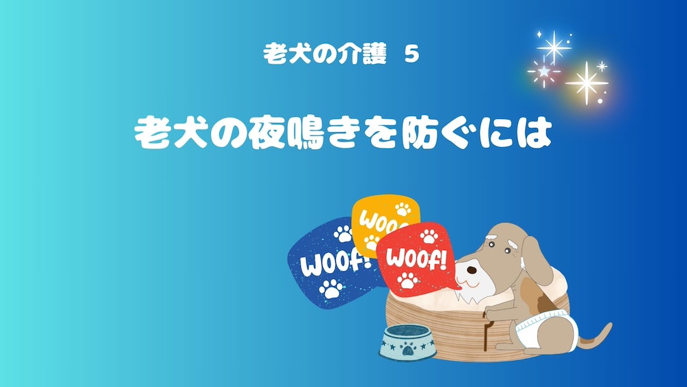 老犬の介護⑤：老犬の夜鳴きを防ぐには