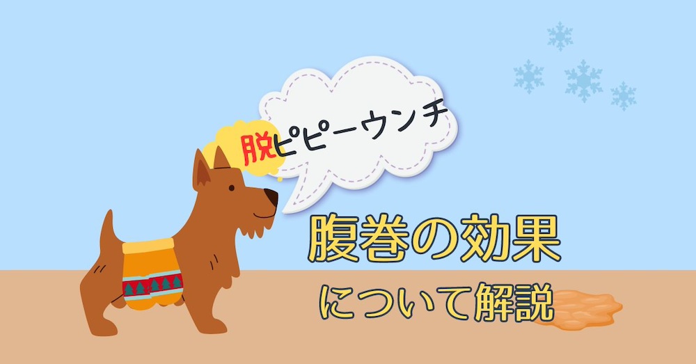 【腹巻】腹巻の効果について解説