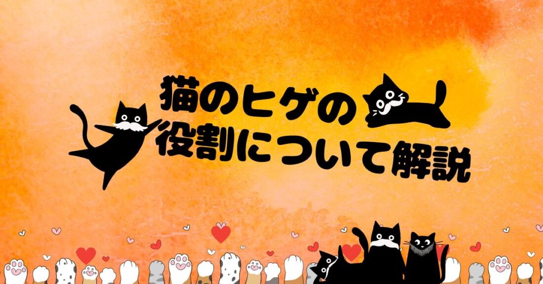 【猫のヒゲ】猫のヒゲの役割について解説