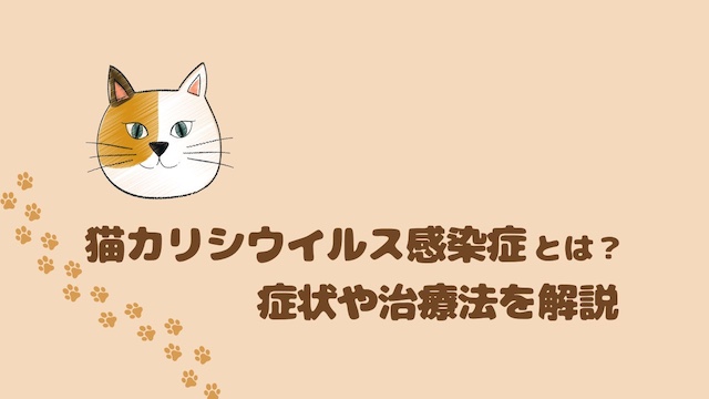 【カリシウイルス感染症】猫カリシウイルス感染症とは?症状や治療法を解説