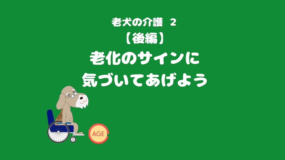 老犬の介護②:【後編】老化のサインに気づいてあげよう