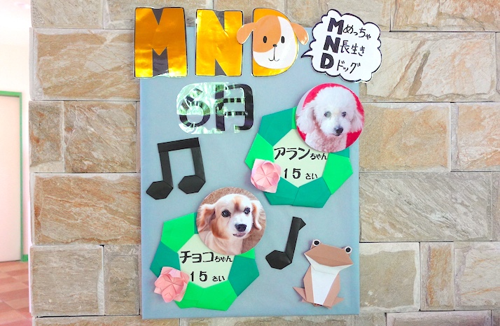 MND