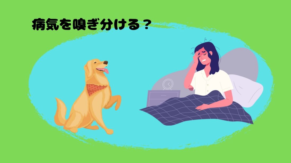 病気を嗅ぎ分ける？｜佐倉市の動物病院なら若山動物病院