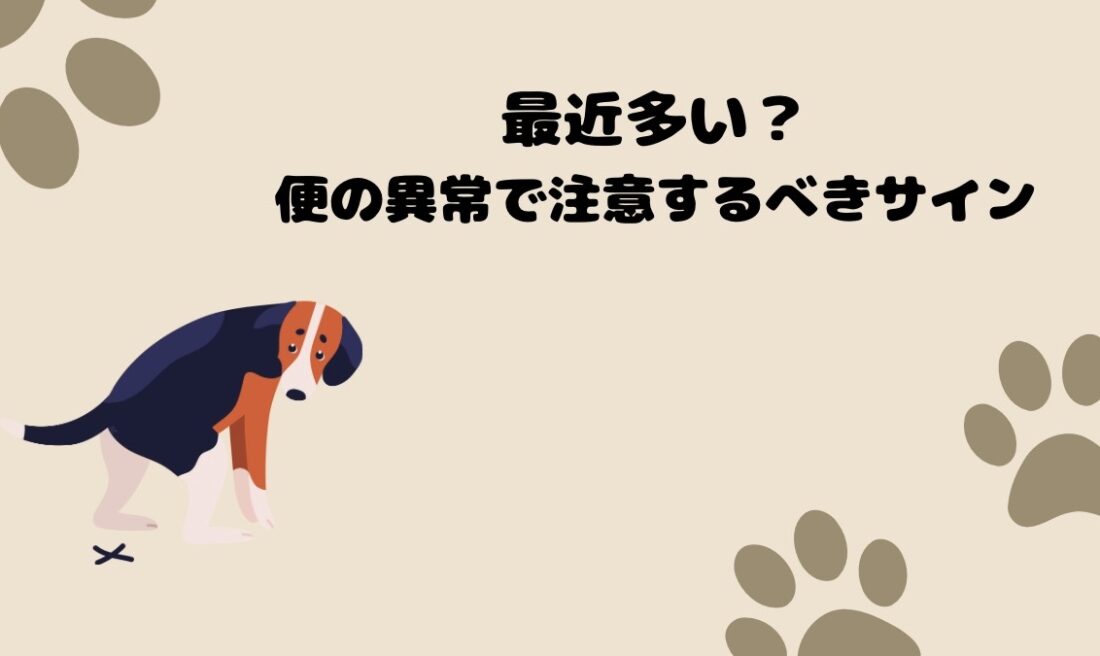 最近多い？｜佐倉市の動物病院なら若山動物病院