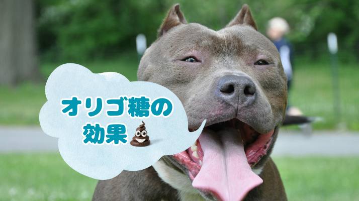 オリゴ糖の効果