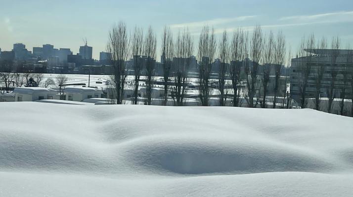 雪景色