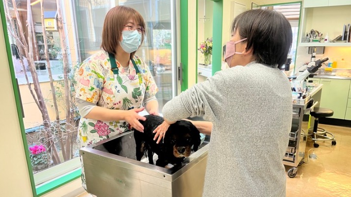 シャンプー指導