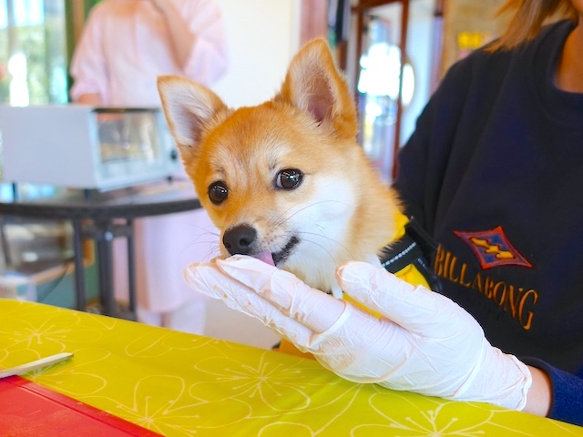 2025.2イベント