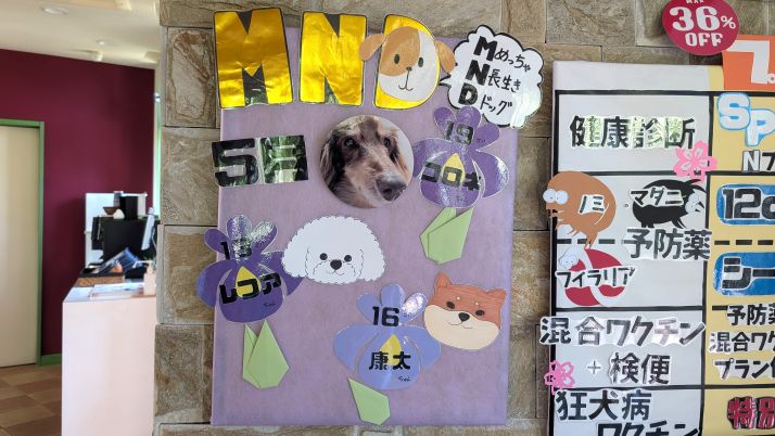 MND・5月