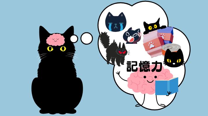 猫の記憶力