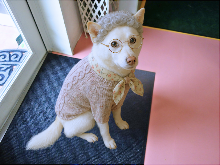 シロばぁ