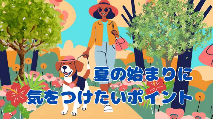 夏の始まりのポイント