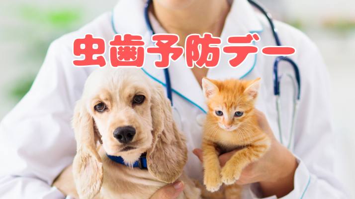 歯と口の健康週間｜佐倉市の動物病院なら若山動物病院
