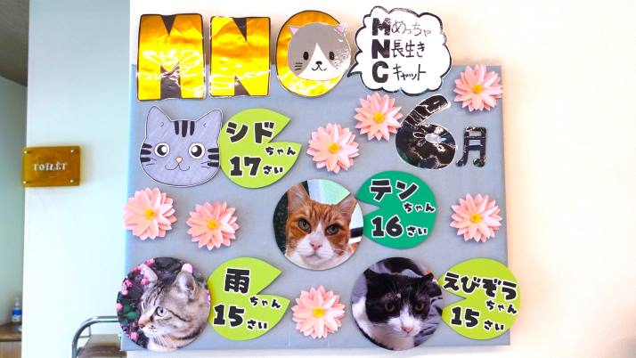 MNC