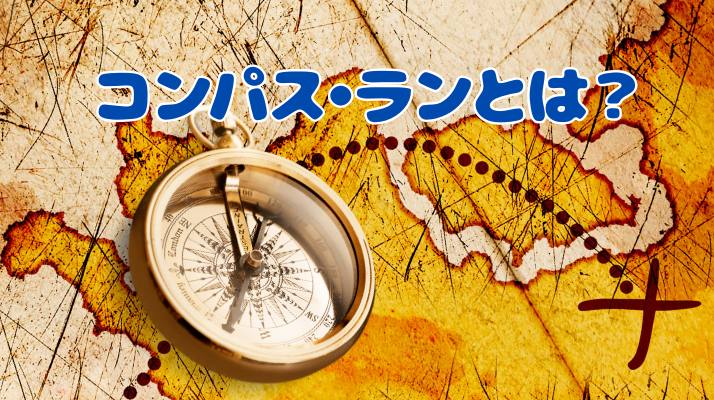 コンパス・ランとは？｜佐倉市の動物病院なら若山動物病院