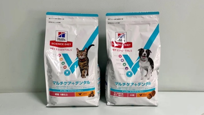 歯にはこれ！｜佐倉市の動物病院なら若山動物病院