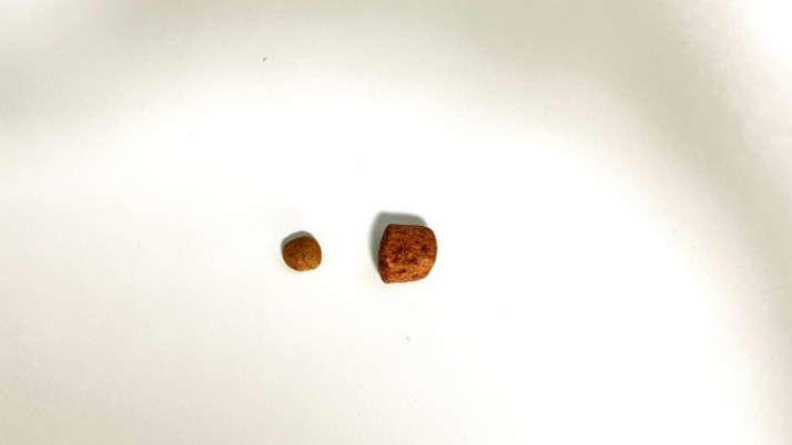 マルチデンタル