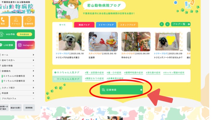 免疫力