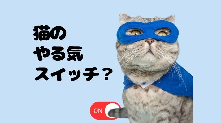 ３．おやつで躾は犬、猫のやる気スイッチって？｜佐倉市の動物病院なら若山動物病院