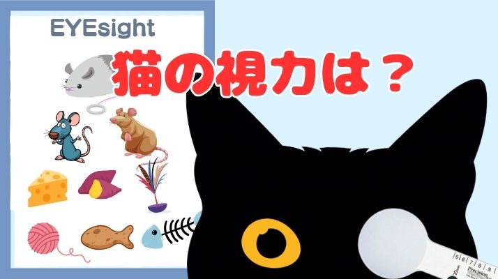 猫の視力はどれくらい？｜佐倉市の動物病院なら若山動物病院