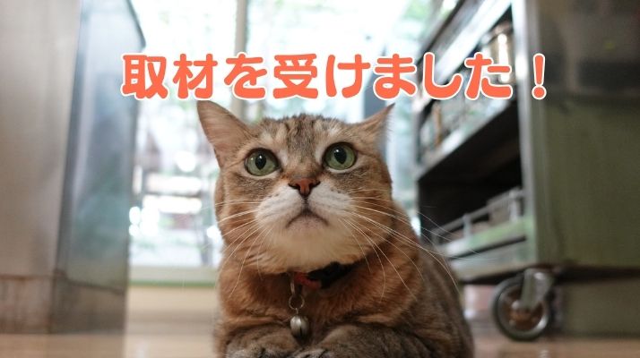 取材を受けました！｜佐倉市の動物病院なら若山動物病院