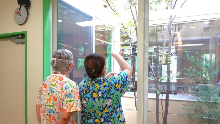 昆虫観察｜佐倉市の動物病院なら若山動物病院