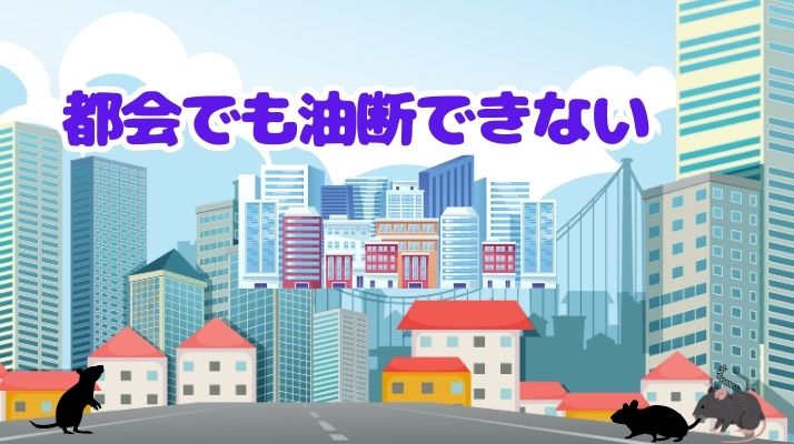 都会でも油断できないレプトスピラ症｜佐倉市の動物病院なら若山動物病院