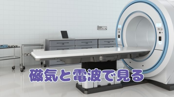磁気と電波で見る｜佐倉市の動物病院なら若山動物病院