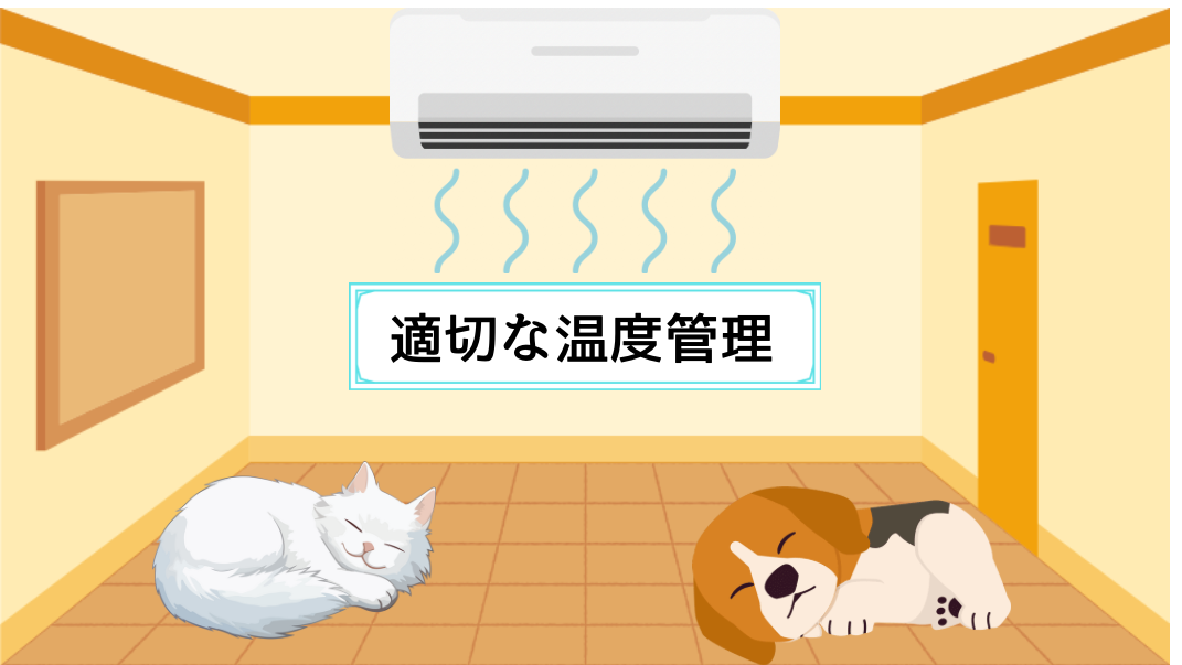 適切な温度管理｜佐倉市の動物病院なら若山動物病院