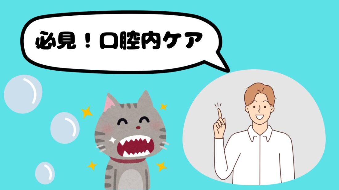 猫の歯磨きは無理なく！｜佐倉市の動物病院なら若山動物病院