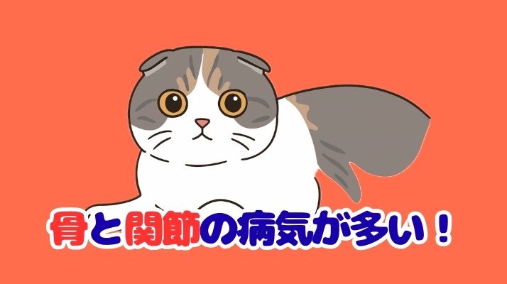 骨と関節の病気が多い｜佐倉市の動物病院なら若山動物病院