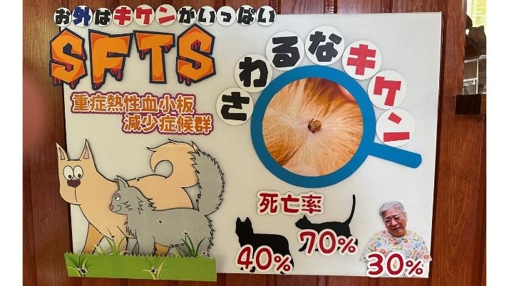 で〜きた、できた‼︎｜佐倉市の動物病院なら若山動物病院