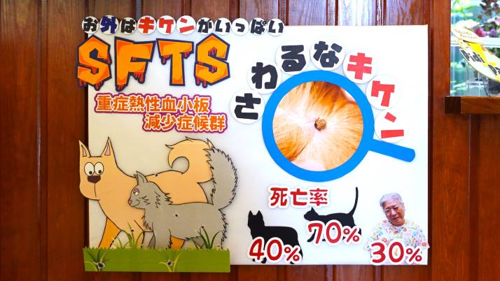 SFTS