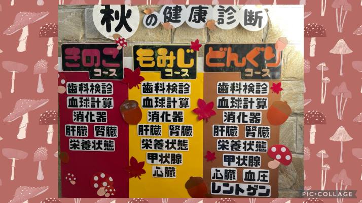 始まりましたよ〜♪｜佐倉市の動物病院なら若山動物病院