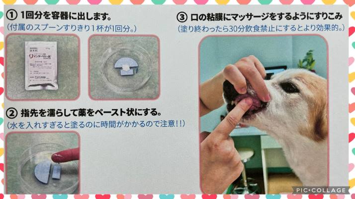 使い方