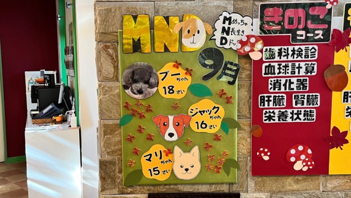 MND