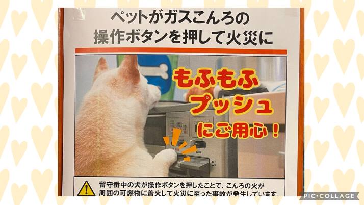 プッシュ