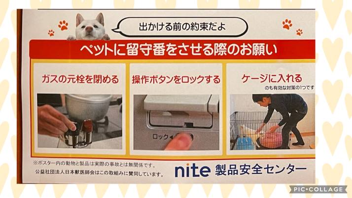 ポイント