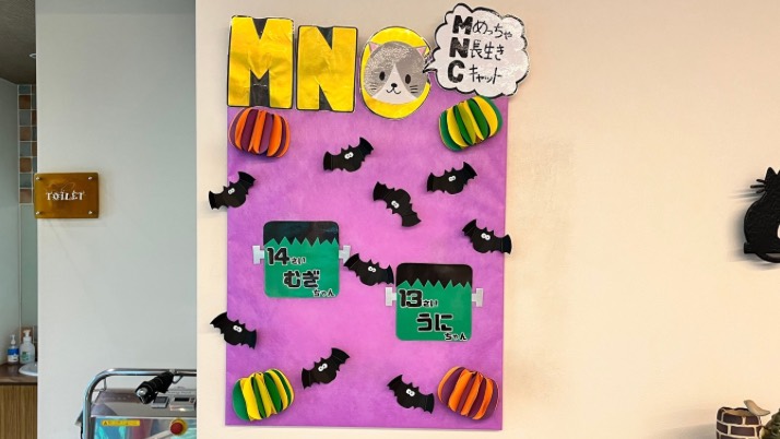 MNC