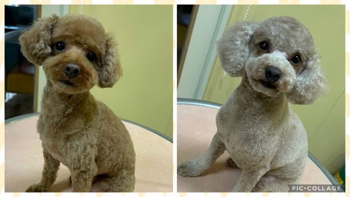 優ちゃん&杏ちゃん