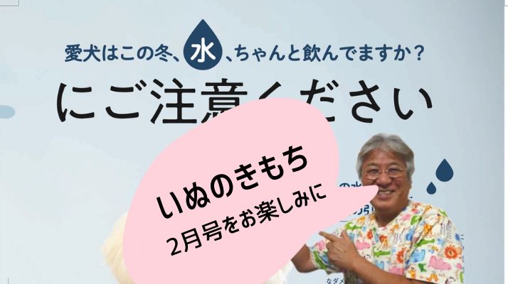 いぬのきもち2月号