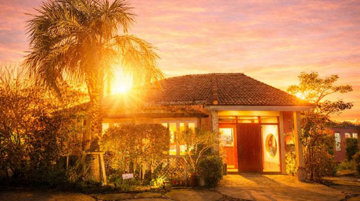 昨日から今日、そして明日へ｜佐倉市の動物病院なら若山動物病院