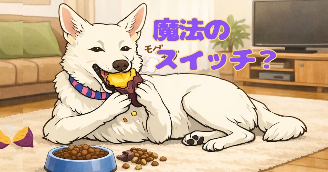 食の細い犬が「焼き芋」でフードを完食するナゾ｜佐倉市の動物病院なら若山動物病院