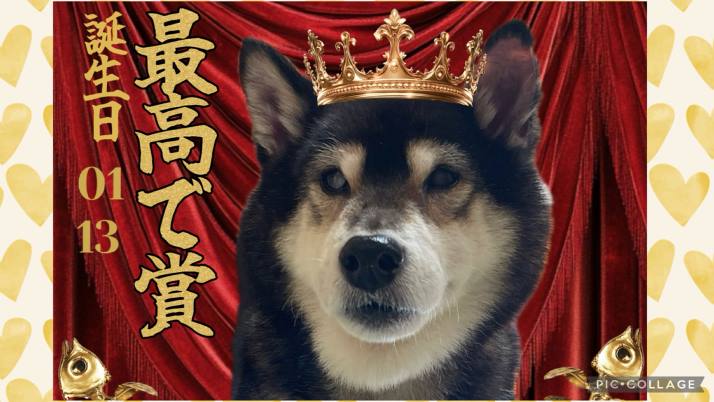 おめでとう！｜佐倉市の動物病院なら若山動物病院